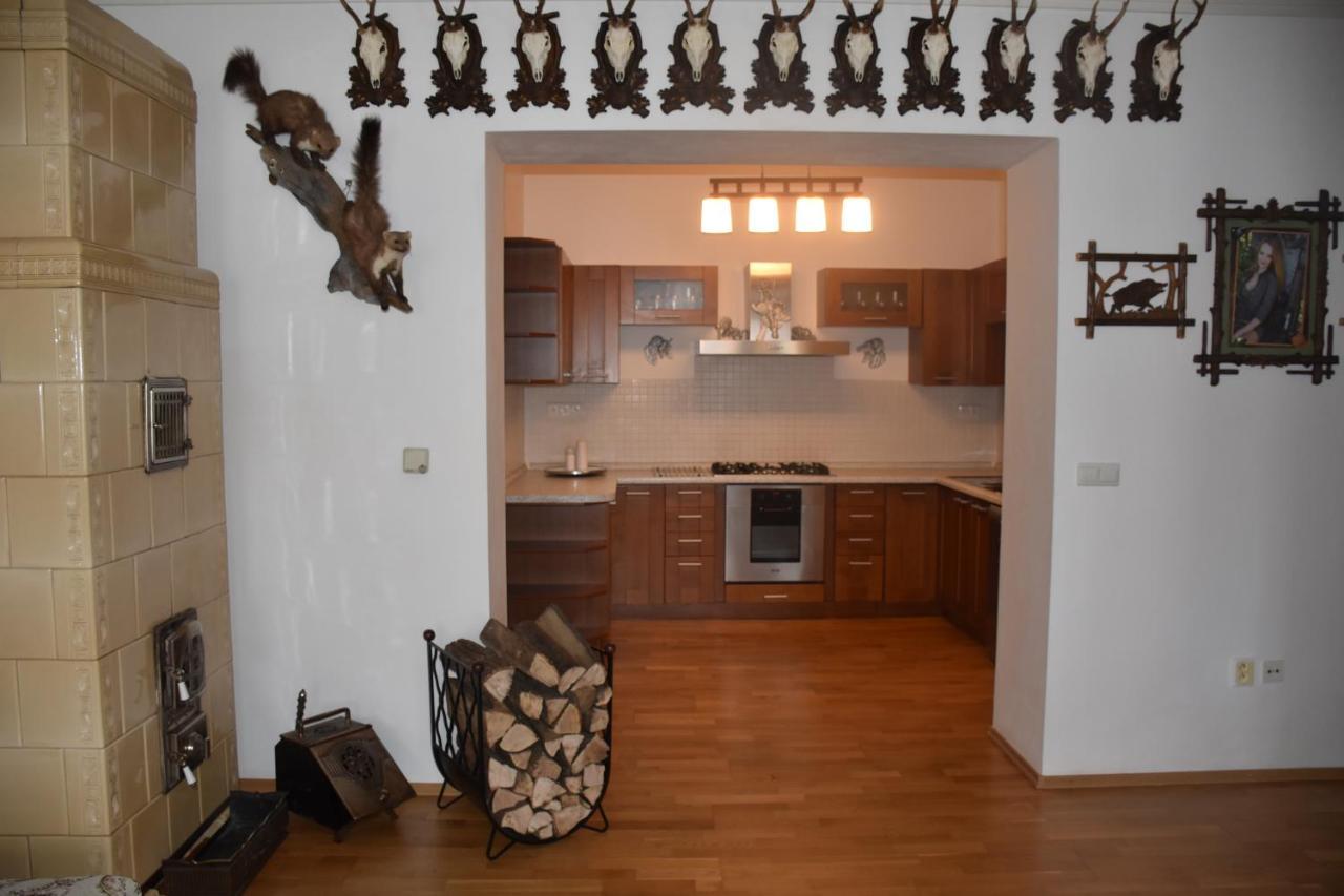 Lovecky Apartman Na Namesti Ve Frenstate Pod Radhostem Frenštát pod Radhoštěm 外观 照片