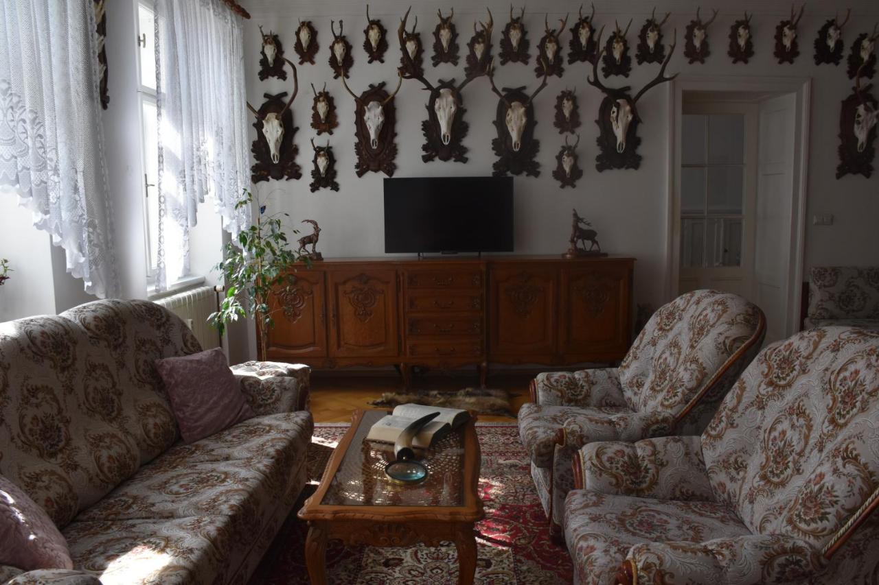 Lovecky Apartman Na Namesti Ve Frenstate Pod Radhostem Frenštát pod Radhoštěm 外观 照片