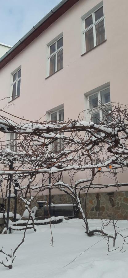Lovecky Apartman Na Namesti Ve Frenstate Pod Radhostem Frenštát pod Radhoštěm 外观 照片